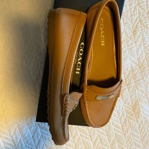 Calvin Klein loafers